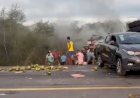 Colisão entre van e caminhão na BR-116 provoca 15 mortes na Bahia